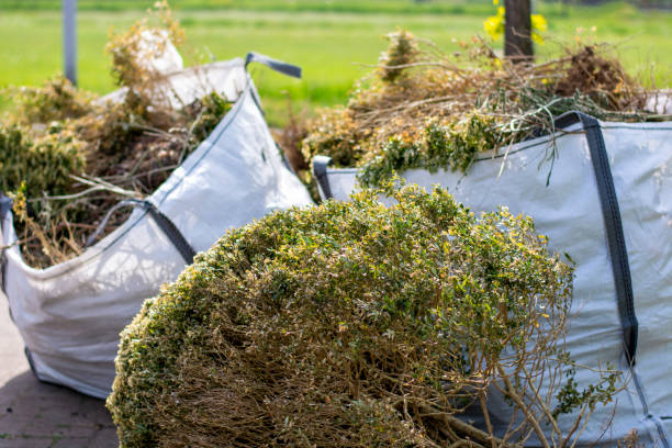 Best Mattress Disposal  in Rock Falls, IL