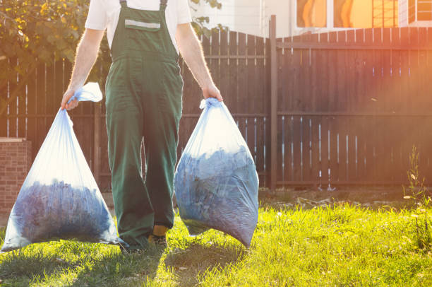 Best Attic Cleanout  in Rock Falls, IL